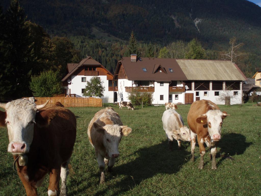Farm Kosir Villa ครานสกา โกรา ภายนอก รูปภาพ